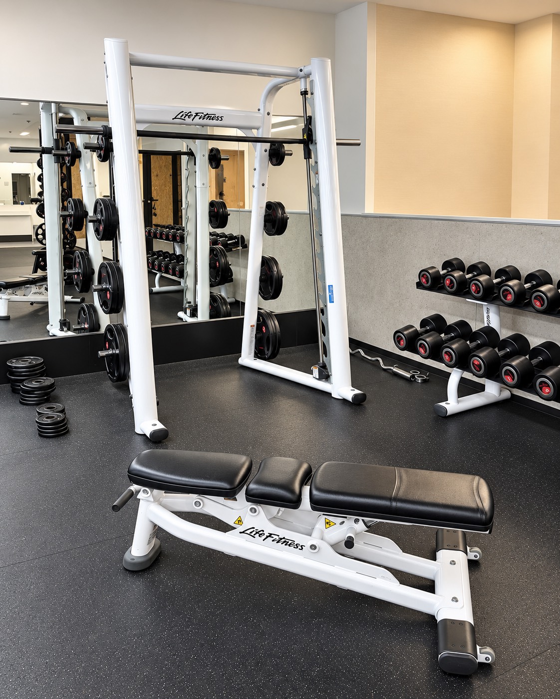 free-weight-area.jpg